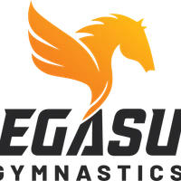Pegasus Gymnastics East