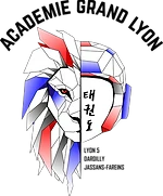 Academy Grand Lyon - Taekwondo And Body Fight Game