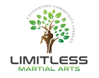 Online Virtual Martial Arts Classes