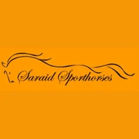 Saraid Sporthorses - Horse Riding Instruction and Breeding