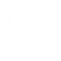 The Rhythm Room
