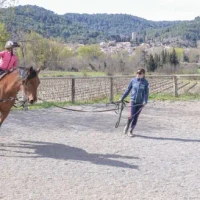 Equestrian Center Domain De L'ane Blanc