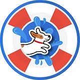 Dog Splash