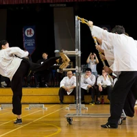 Chans Martial Arts and Sing Ong Tai Chi