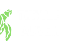 Turtle Fins Adventure