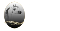 Arabian Training Center di Roberto Zaniboni