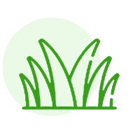 R.K. Turf and Garden | Cricket and Football Turf