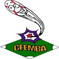 Greater Fort Erie Minor Baseball