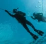 Amy's Scuba Connection