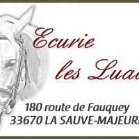 PONEY CLUB DU PETIT PERE