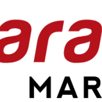 Arashi Do Martial Arts