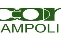 Icon Trampoline Club