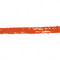 Traditional Warriors Martial Arts