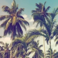 Exhale Yoga Retreats