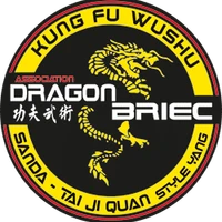 School Of Kung Fu Wushu Dragon Briec