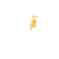 NVLD Fitness