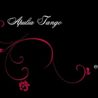 Accademia Stabile di Tango Argentino APULIA TANGO BARI
