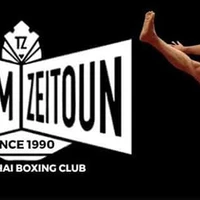 Team Zeitoun
