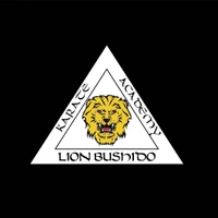 Lion Bushido Karate Academy Patterson Lakes