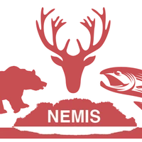 Pourvoirie Nemis - Laurentides