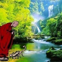 Center Yoga And Meditation