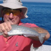 fleurieu charters
