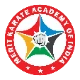 Merit Karate Academy