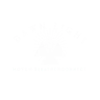 Dawn Light, Holistic Somatic Practices, Yoga, Breath, Meditation