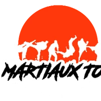 Martial Arts Toulois