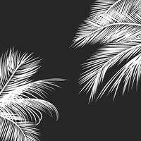 Tahiti Aux Marquises