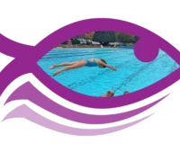 Gloucester Masters Swimming Club