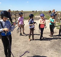 West Wind Stables