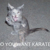 Rising Sun Martial Arts