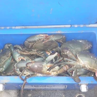 Shoal Bay Sportfishing Tours