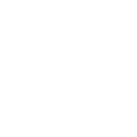The Movement Fitness & Wellbeing