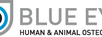 Blue Eye Healthcare Limited