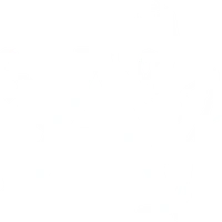Earley Branch - The Allenova School of Dancing