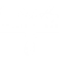 Dance Academy