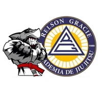 Relson Gracie Association - Dee Why