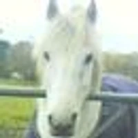 Chapelton Equestrian Centre
