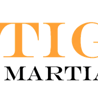 Martial Arts School Oxford | Tiger Martial Arts