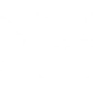 UNITED Judo - Dartford