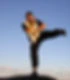 Shaolin Monk Martial Arts - Bondi