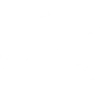 Tom Salvi Coach Sportif