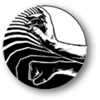 Art Du Chi