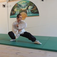 Wushu-Aikido Tarn