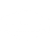 GMSM BOOTCAMP
