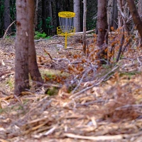 Corner Brook Disc Golf Course