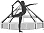 Cotswold Iyengar Yoga Centre