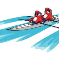 Aviron Union Nautique De Villefranche